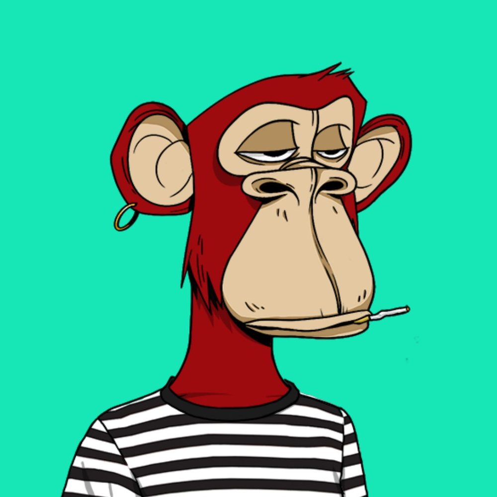 Meet your Posher, Jess